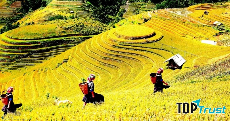 Sapa nổi tiếng với ruộng bậc thang