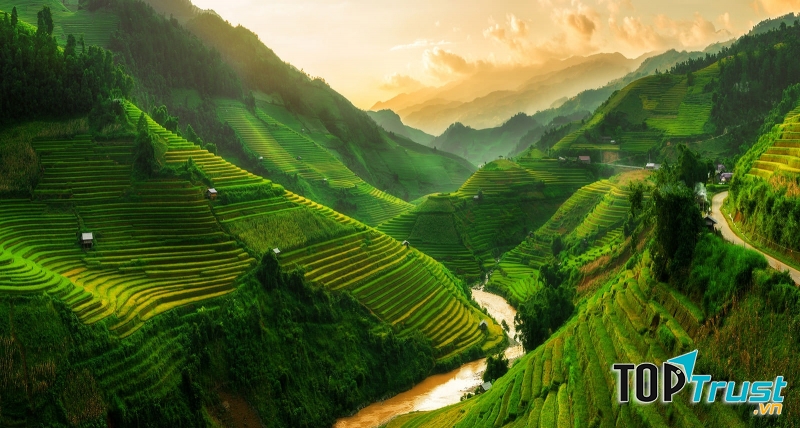 Ruộng bậc thang tại Sapa