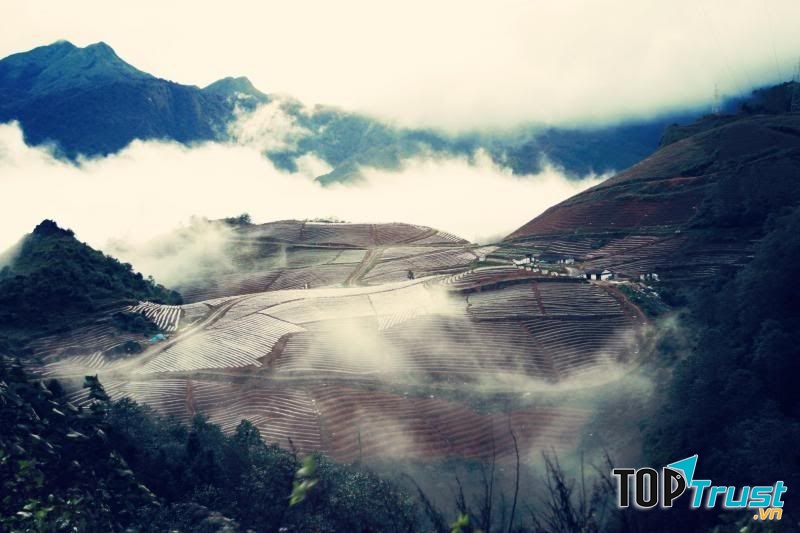 Sapa chìm trong sương sớm