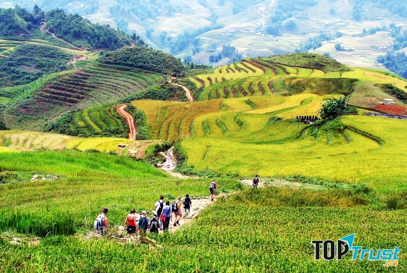 Hình ảnh của Sapa