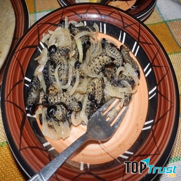 Sâu Mopane