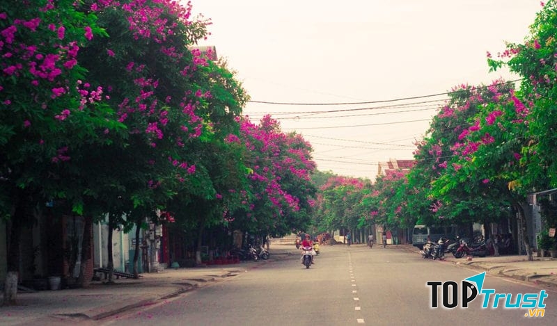 Tím trời chiều, tím cả những ước mơ