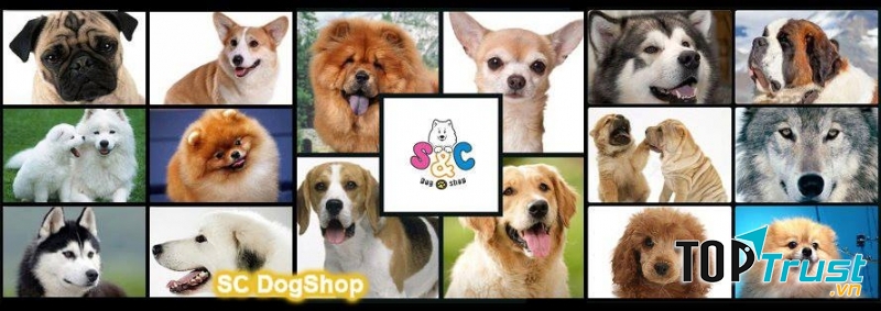 SC Dog Shop