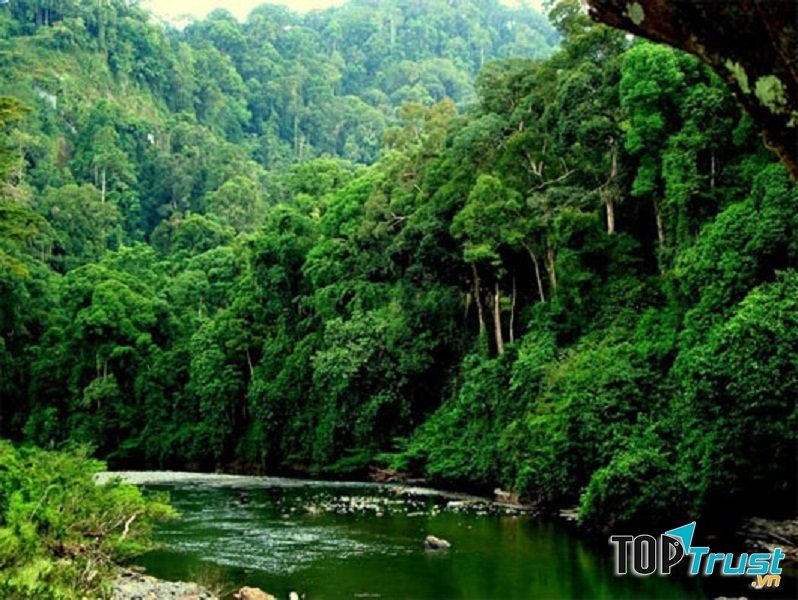 Brunei một đất nước xanh sạch đẹp.