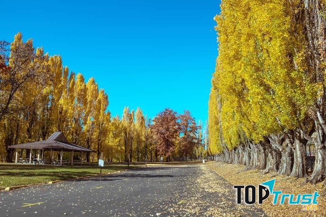 Seattle được biết đến là thành phố đáng sống nhất nước Mỹ.