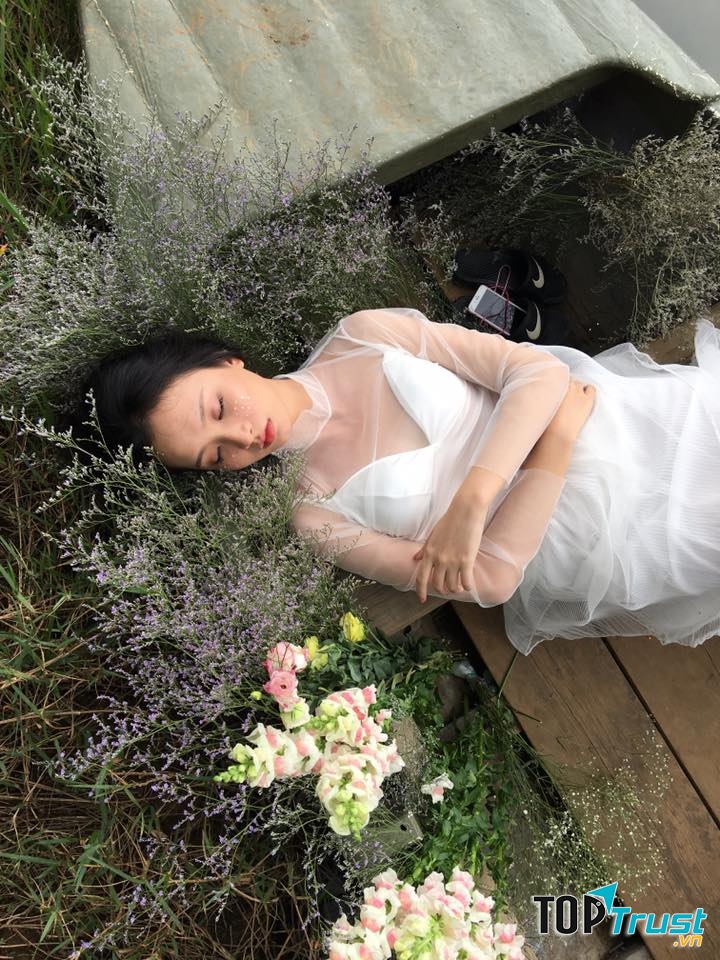 Secret Garden - SG Newland