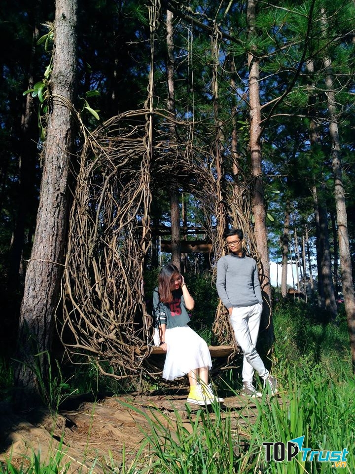 Secret Garden - SG Newland
