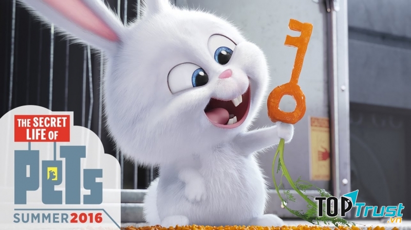 Secret Life of Pets