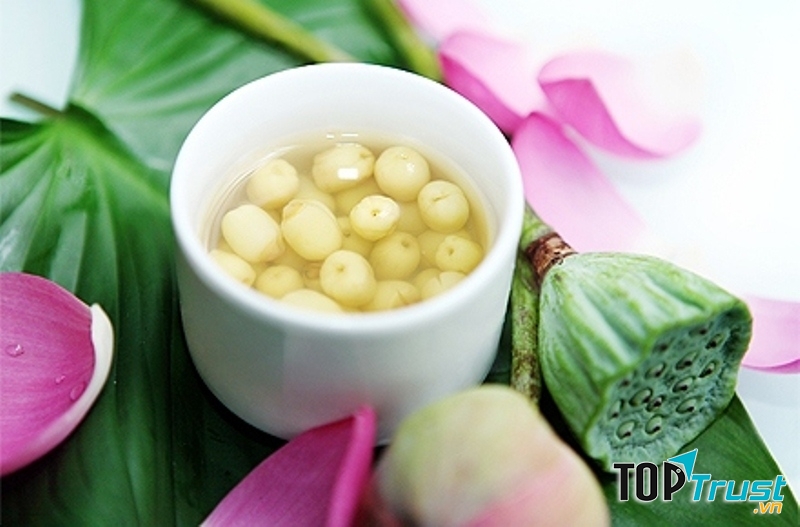 Sen chữa mất ngủ