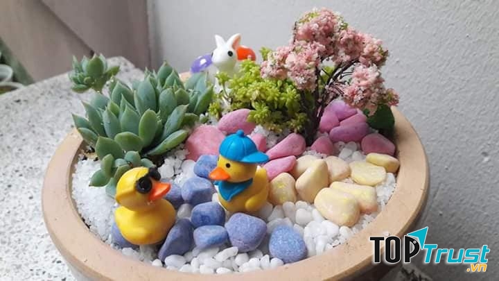 Sen Đá & Xương Rồng Trà Vinh- Cần Thơ