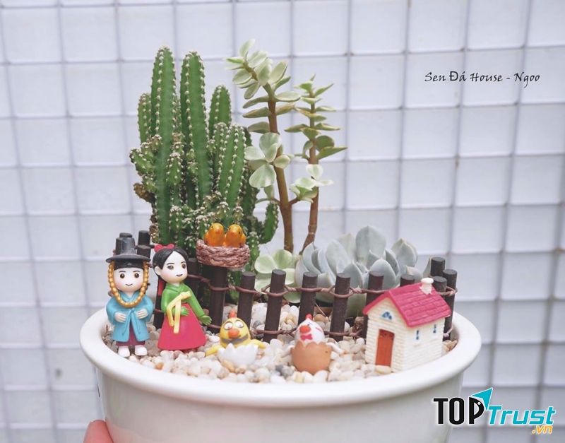 Sen Đá House - Ngoo