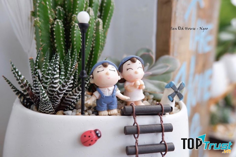 Sen Đá House - Ngoo