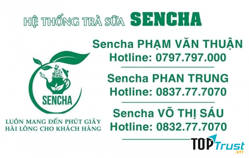 Sencha Tea
