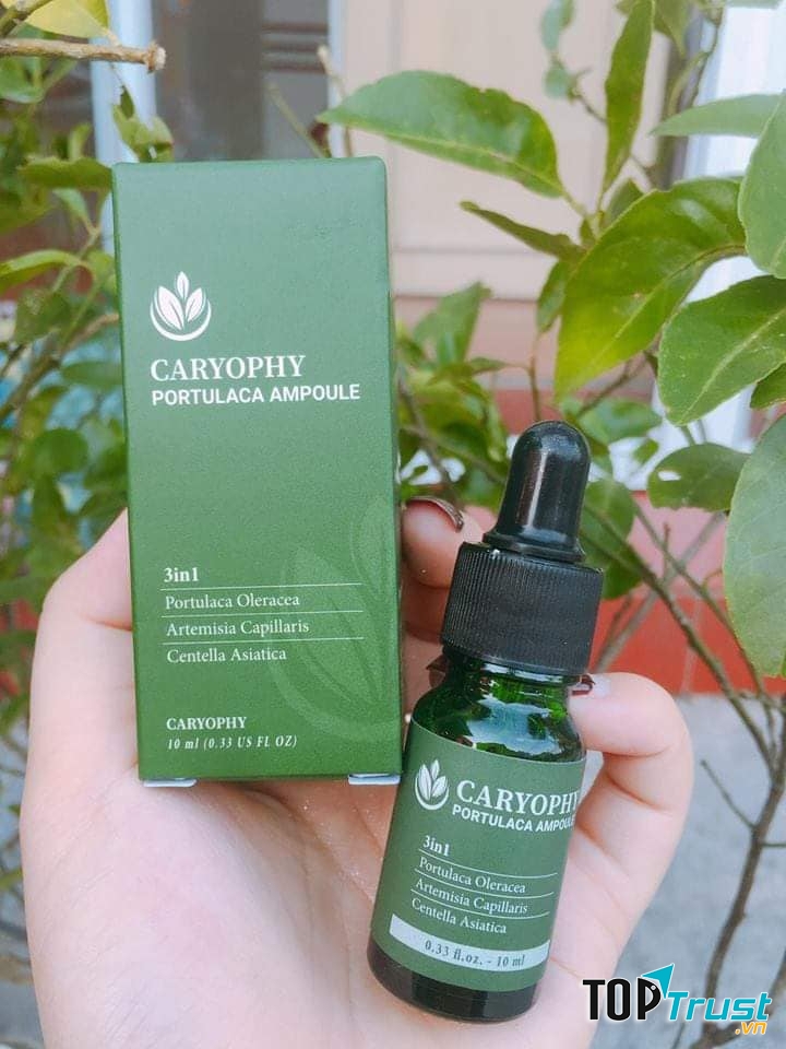 Serum trị mụn ẩn Caryophyl Portulaca Ampoule