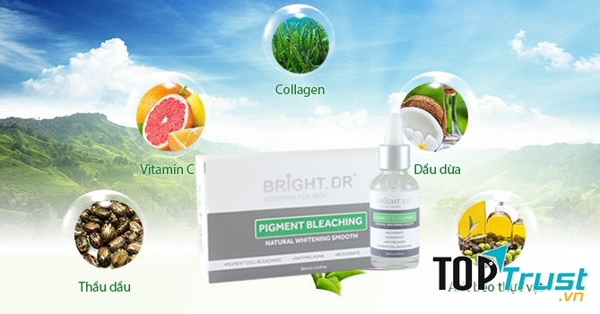 Thành phần Serum Trị Nám Da Thể Nặng Pigment Bleaching Bright Doctors