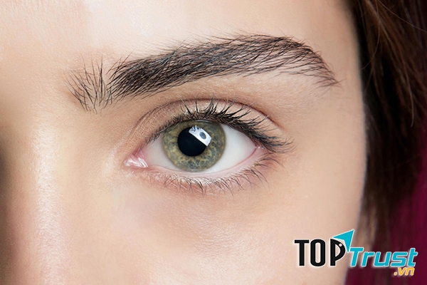 Serum Xóa Thâm Quầng Mắt Giảm Nếp Nhăn Obagi Elastiderm Eye Serum Tinh chất chống nhăn tăng cường collagen và elastin cải thiện nếp nhăn và dấu chân chim, giúp da săn chắc, mịn màng.