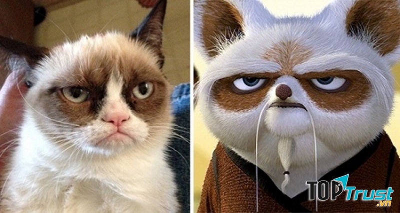 Shifu trong phim Kungfu Panda