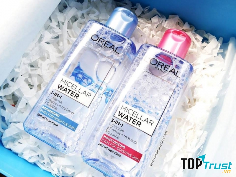 Shinichi - Hanami Gia Lai