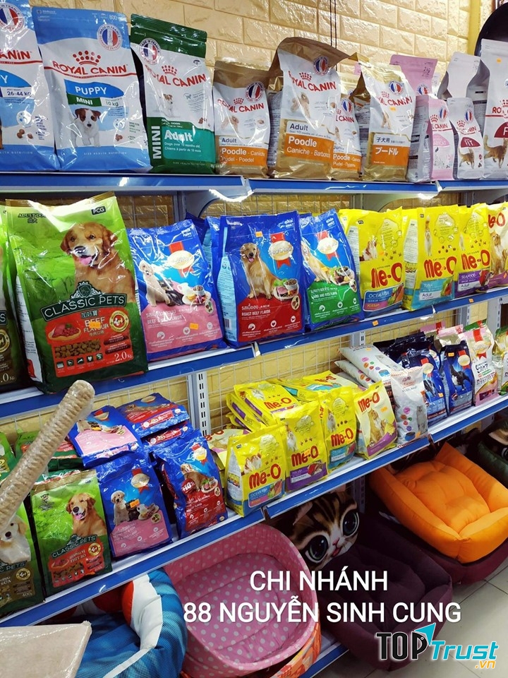 Shop Chó Mèo - Huế