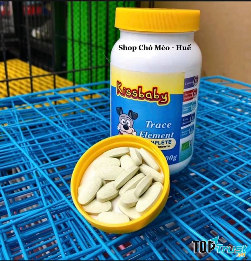 Shop Chó Mèo - Huế
