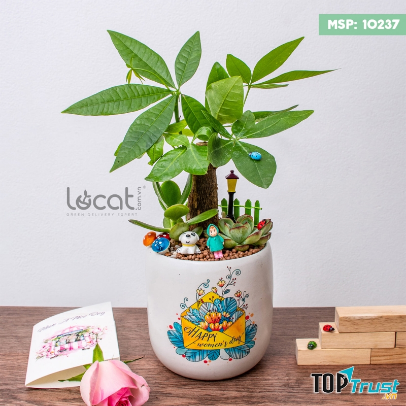 Shop Decor Lọ Cát