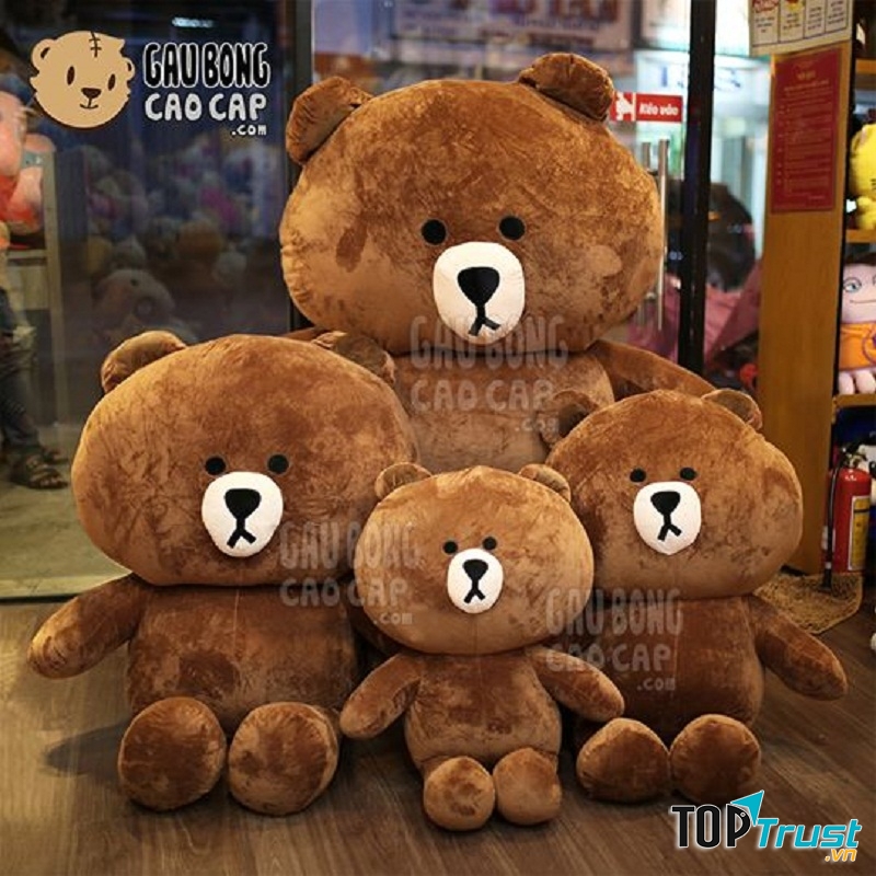 Gấu Brown Size Lớn: 1m, 1m2, 1m4, 1m8