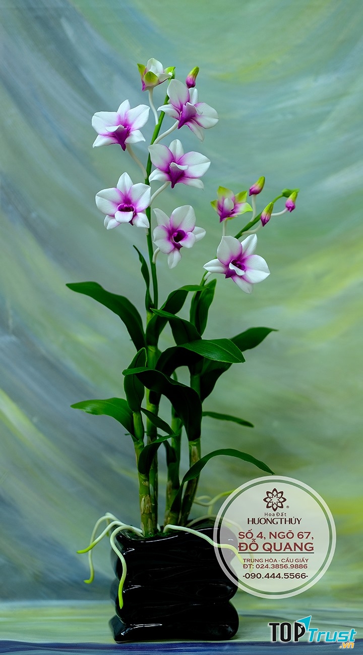 Sản phẩm của hoa đất Hương Thủy
