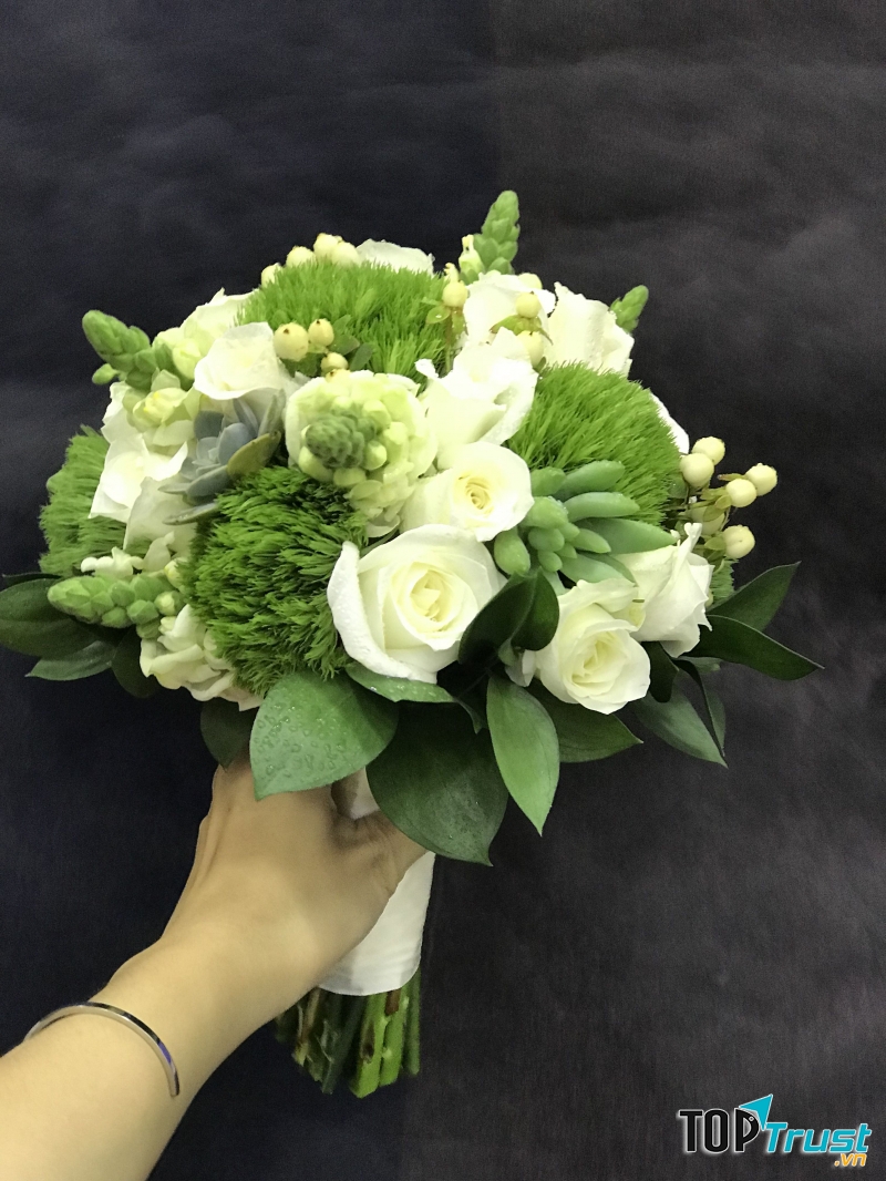 Shop hoa Huế - Tulip Flowers