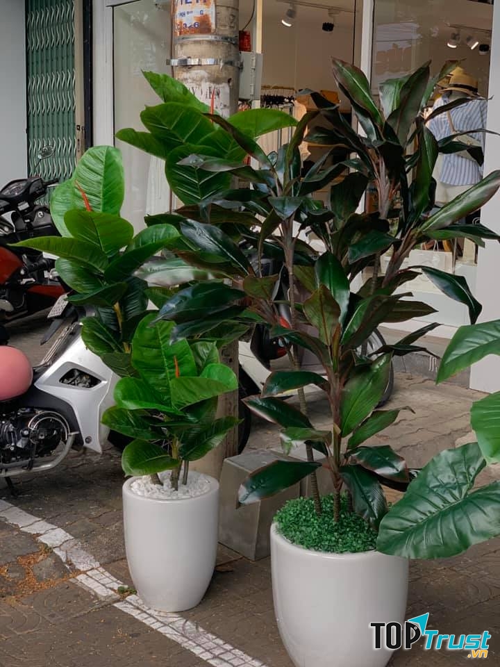 Shop Hoa IDeas Decor