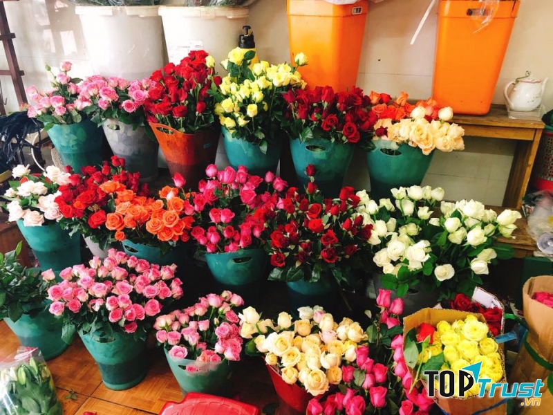 Shop Hoa Kim Phụng