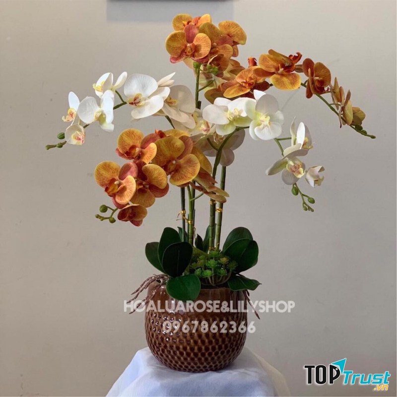 Shop hoa lụa - Rose&Lily