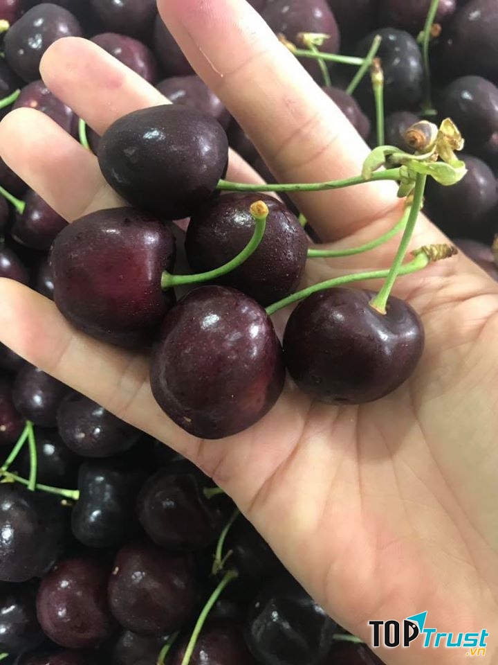 Shop Hoa Quả Sạch