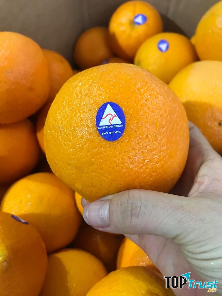 Shop Hoa Quả Sạch