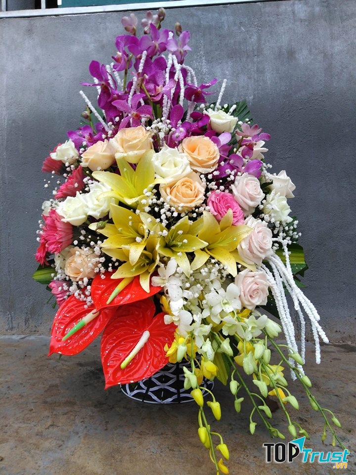 Shop Hoa Quỳnh Anh