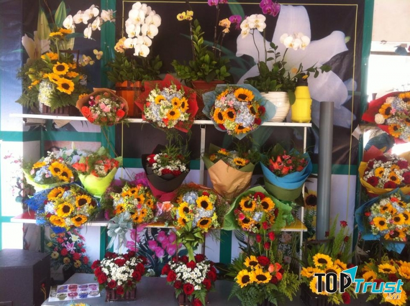 Shop hoa tươi Bách Hợp luôn tự tin khi đưa ra thị trường những bông hoa đẹp nhất, chất lượng nhất với giá thành nhiều ưu đãi nhất