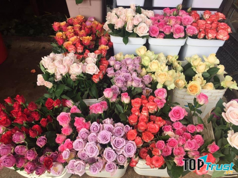 Shop hoa tươi Vĩnh Phúc Bảo Ngọc