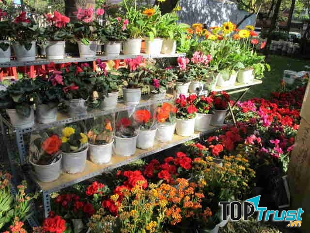 Shop Hoa Tươi Suri còn nhận trang trí hoa tươi cho các sự kiện, tiệc, hội nghị, bên cạnh việc cung cấp lẻ và sỉ số lượng lớn hoa Đà Lạt