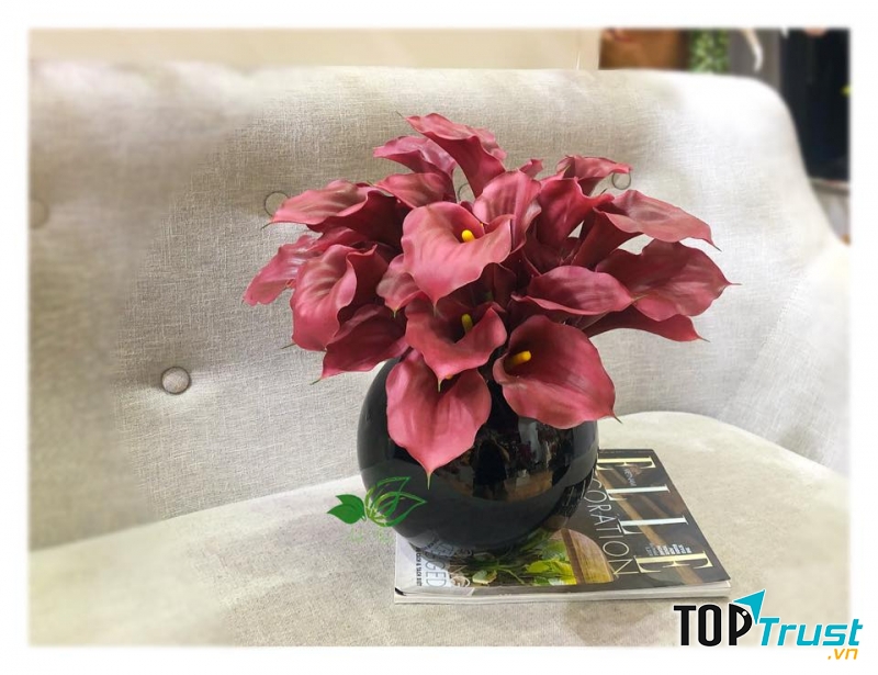 Shop Hoa Vải Anh Thảo