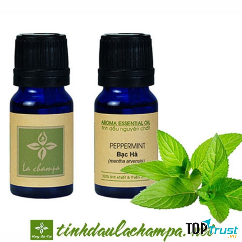Tinh dầu bạc hà (hình ảnh lấy từ website của shop Hương Sắc Việt)