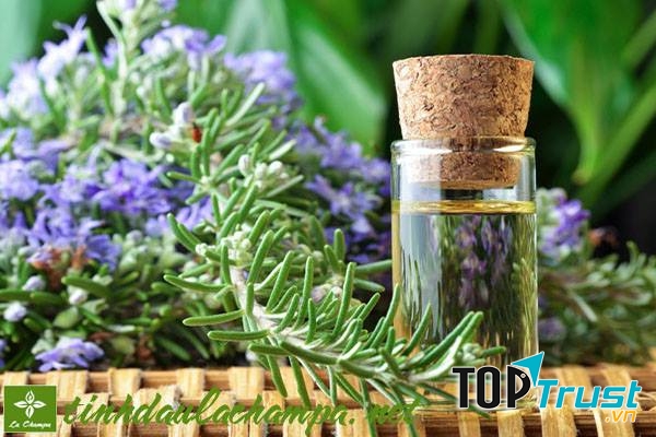 Tinh dầu của Shop Hương sắc Việt