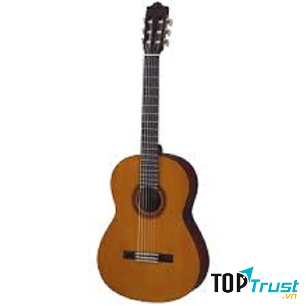 Cây đàn màu nâu tuyệt vời