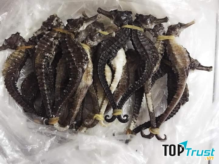 Cá ngựa tại Shop nông sản Việt Nam