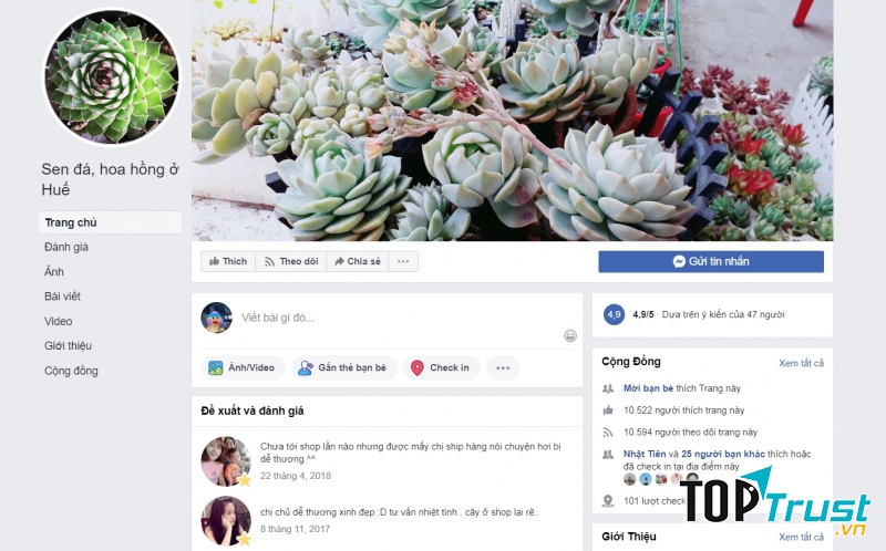 Shop sen đá hoa hồng ở Huế