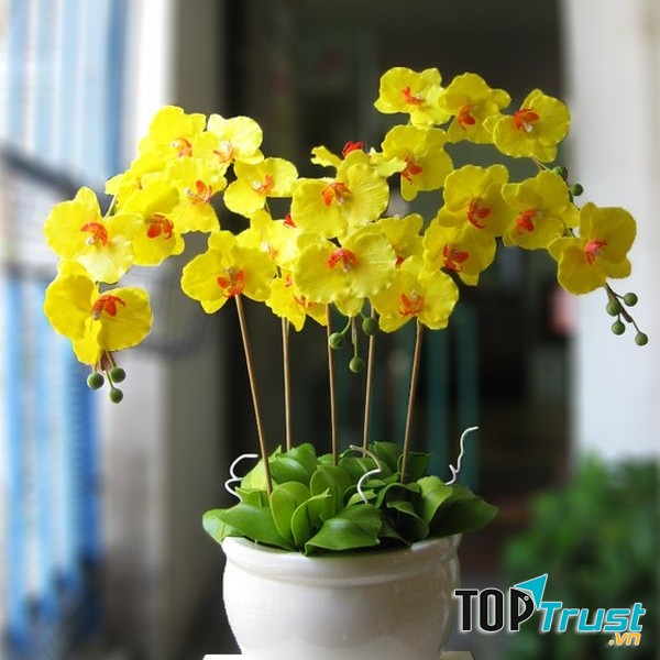 Hình ảnh minh họa (Nguộn: Internet)