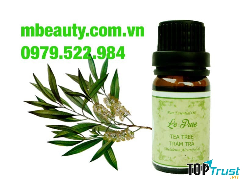 Shop tinh dầu Thiên nhiên LePure