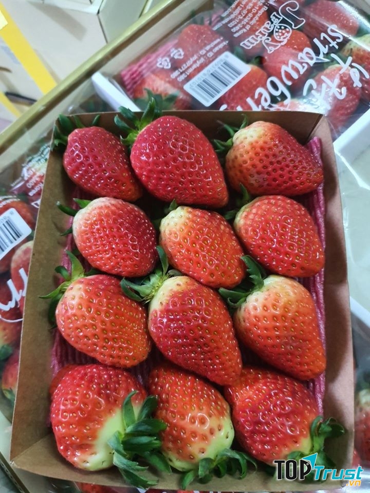 Shop Trái cây nhập khẩu - Eco Fruits Phú Nhuận