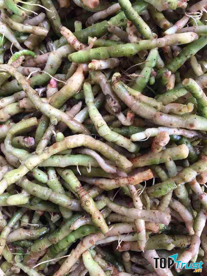 Nguồn gốc, xuất xứ ản phẩm rõ ràng