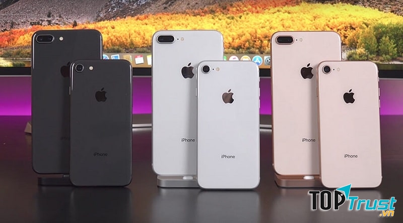 ShopDunk Đà Nẵng