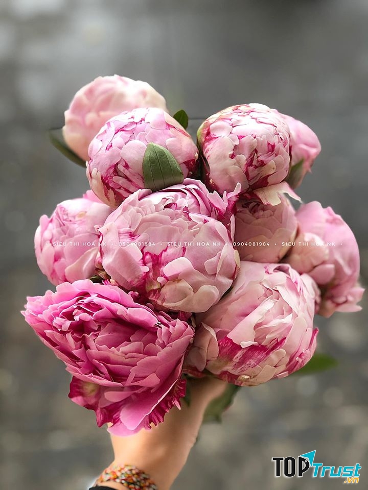 Siêu Thị Hoa Nhập Khẩu