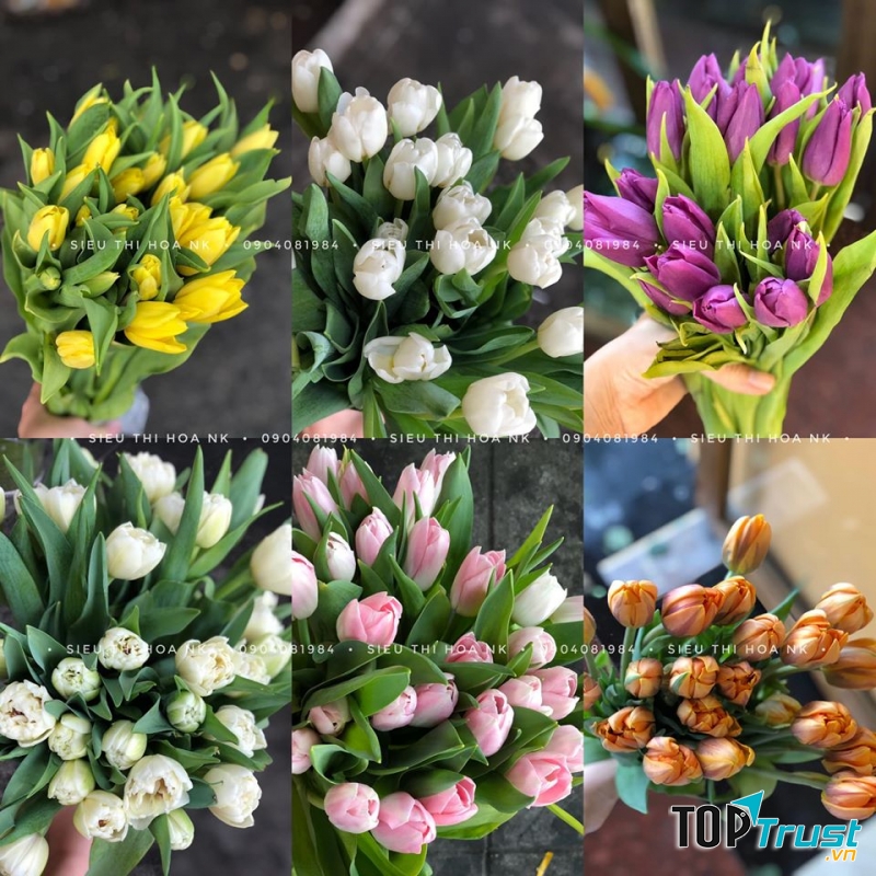 Siêu Thị Hoa Nhập Khẩu